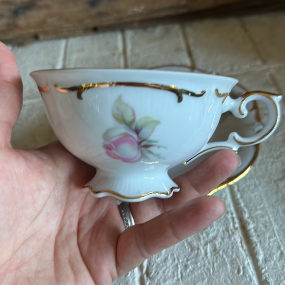 Bavaria Schumann Arzberg Wild Rose Teacup & Saucer - Picture 4 of 7